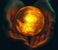 INSTINCTOR BLOG